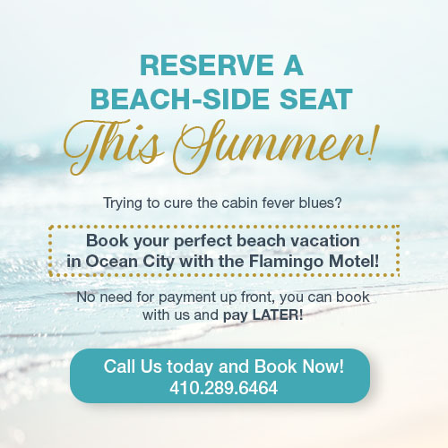 Downtown Ocean City MD Motels | Flamingo Motel | Affordable Lodging